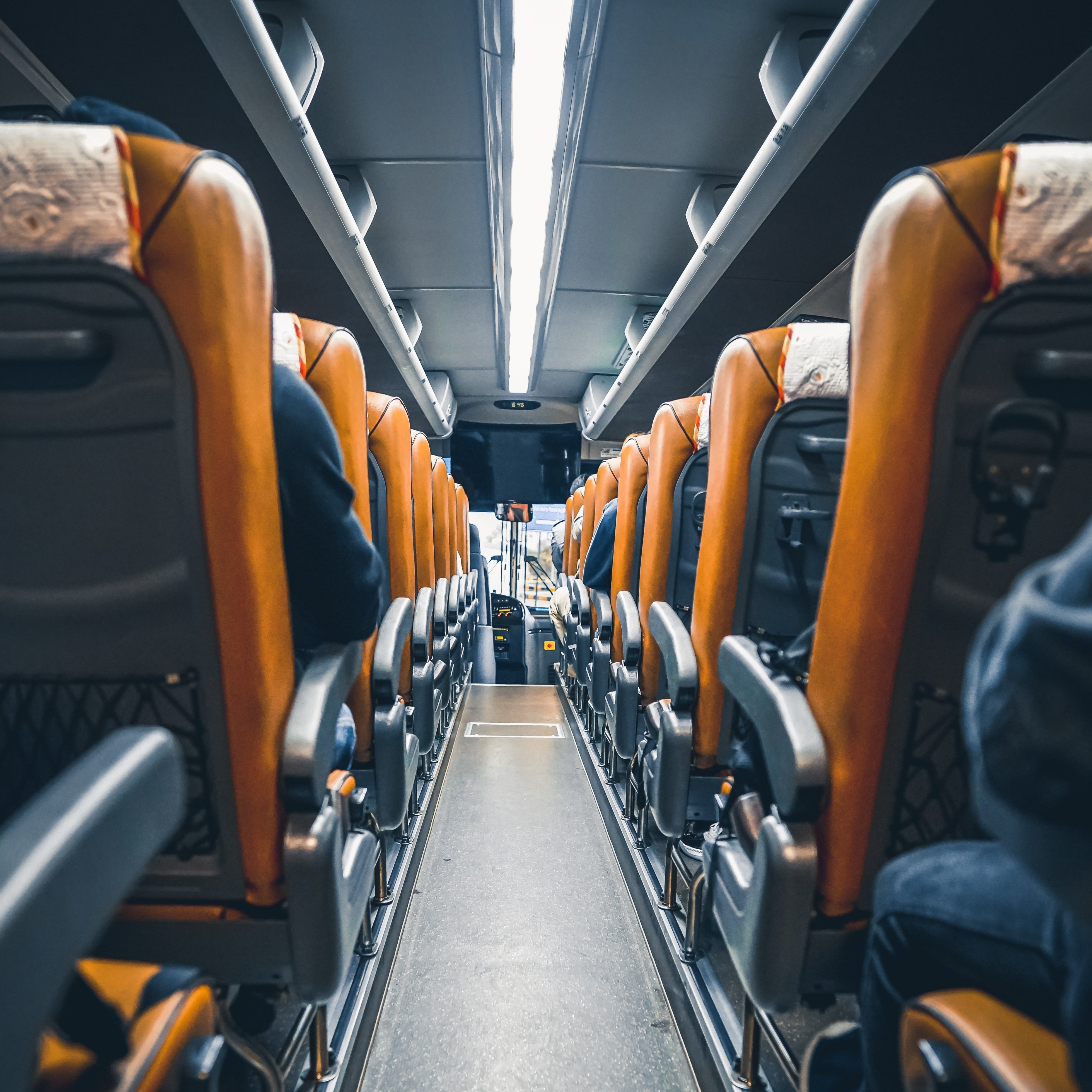 bus-5589826.jpg